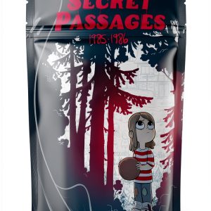 Graphic Novel Biographies & Memoirs: Secret Passages-0